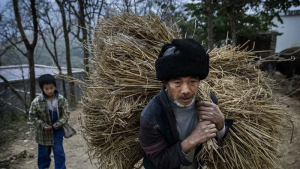 秦晖：农民问题的历史与现实【音频】-duli 读立
