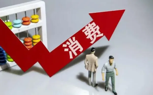 秦晖：福利、消费与发展方式转变【音频】-duli 读立