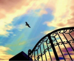 秦晖：实践自由答客难【音频】-duli 读立