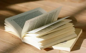 一诺对话秦晖：天凉好读书-duli 读立