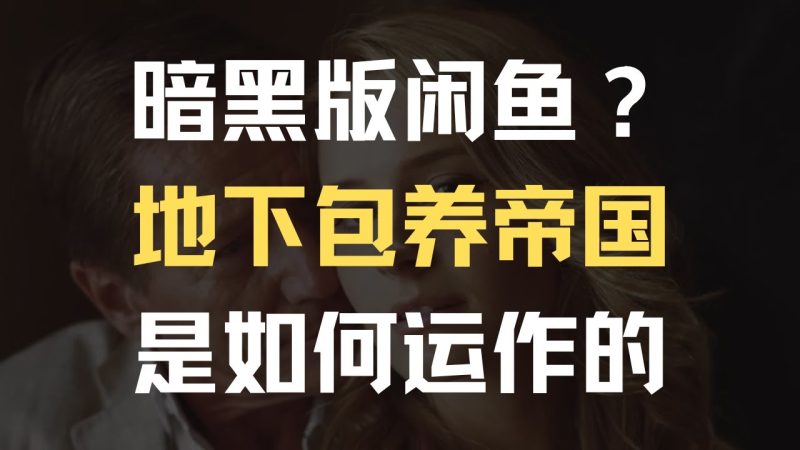 墩布怕麻烦：4天1万？7万人大群？地下包养交易有多疯狂？是谁在经营包养产业链？-duli 读立