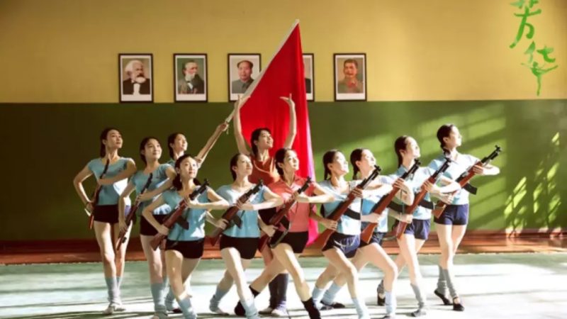 听严歌苓聊《芳华》（2026最新）-duli 读立