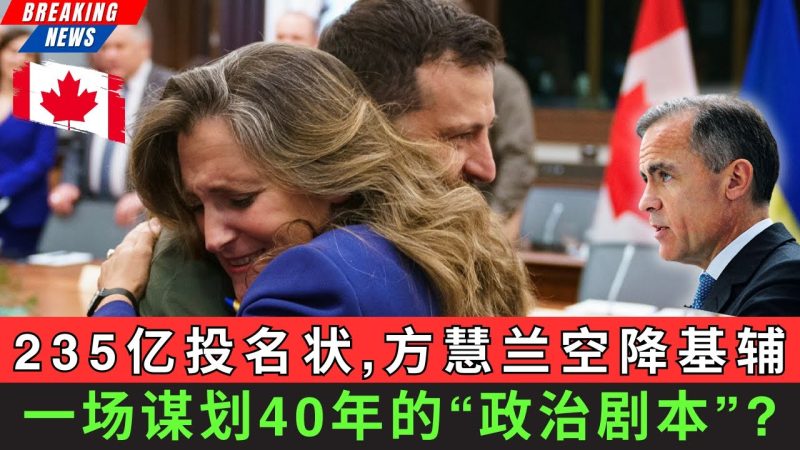 【深度】235亿投名状 方慧兰空降基辅! 一场谋划40年的政治剧本？-duli 读立