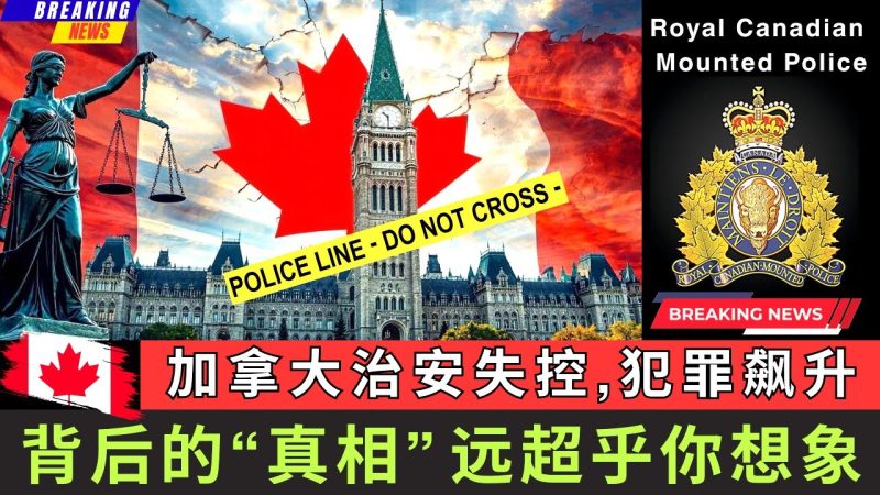 加拿大治安失控犯罪飙升，背后的真相远超乎你想象! 让我带你拨开这层混乱的社会迷雾，揭开到底是什么力量让犯罪反复上演，让法律在现实面前几乎失失效。背后的答案可能比你想的还要震撼！-duli 读立