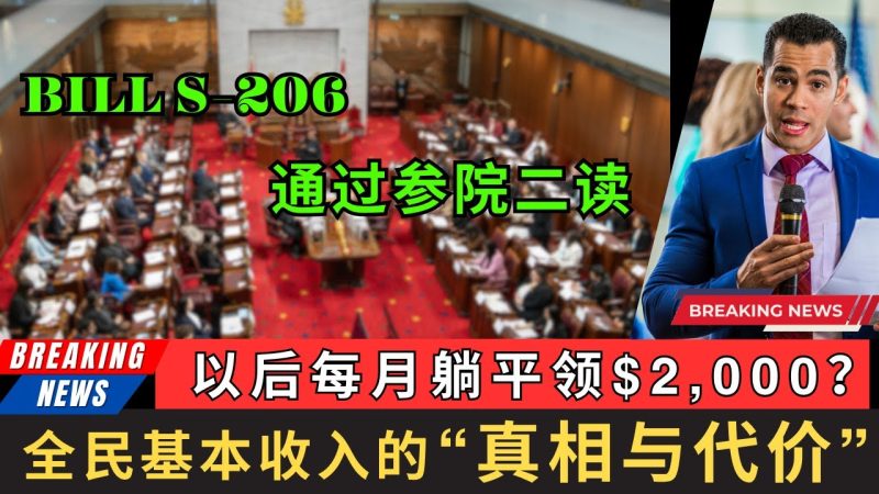 Bill S-206通过二读，以后每月躺平领钱？全民基本收入的真相与代价! 世界上最昂贵的东西，往往就是“免费”二字。任何像是“无条件”的政策，背后都一定藏着沉重而且不菲的代价-duli 读立