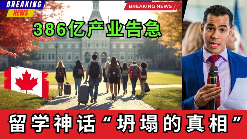 386亿教育产业危机全面爆发，揭秘加拿大留学神话坍塌的真相！这个曾经闪耀全球的留学目的地，正面临前所未有的危机和挑战。如何自救，才能重建它的国际教育品牌和竞争力？-duli 读立