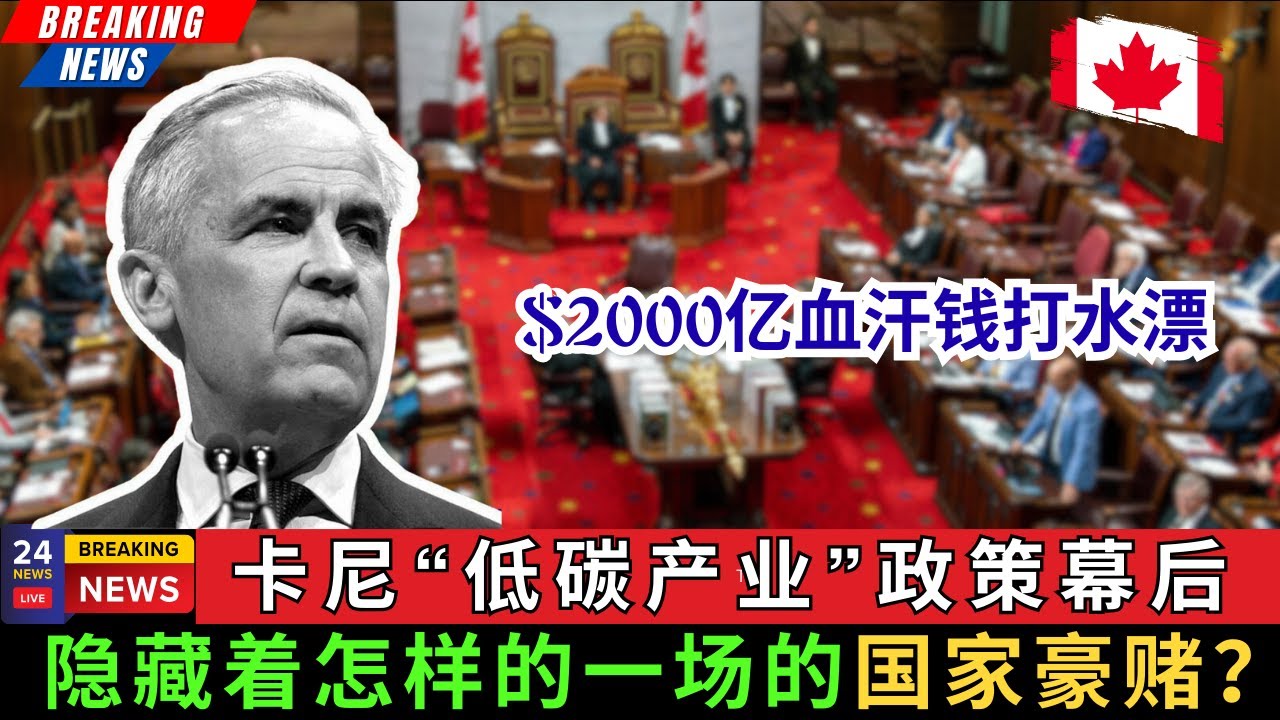 2000亿血汗钱打水漂! 卡尼低碳产业政策背后，到底隐藏着怎样的一场国家豪赌？