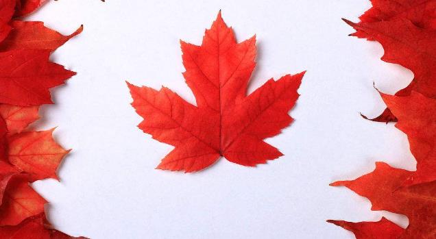 北美枫向标-五大核心主题：时事经济｜投资运营｜留学教育｜职业...-duli 读立