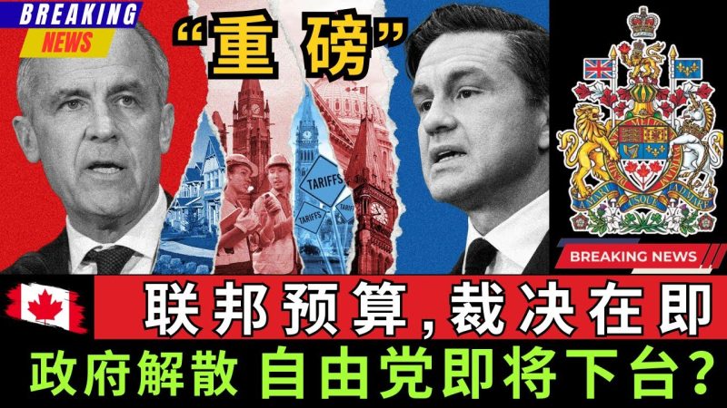 【重磅】联邦预算案裁决在即, 一旦通不过将立刻解散政府, 重启大选, 届时自由党很可能将面临下台的命运! 这将是卡尼要面临的“终极考验”-duli 读立