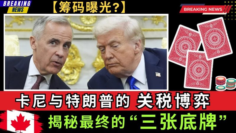 卡尼与特朗普的关税博弈，揭秘加拿大最终的“三张底牌”! 卡尼肯定已将部分筹码摆上了台面。这将是通往美加双赢的桥梁，还是一场单边的豪赌？-duli 读立