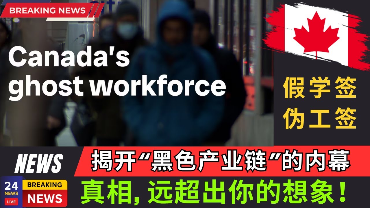 揭秘加拿大假工签伪学签“黑色产业链”内幕，看清整个国家的监管体系如何被一层层的灰色利益链条慢慢吞噬，真相远超出你的想象! 