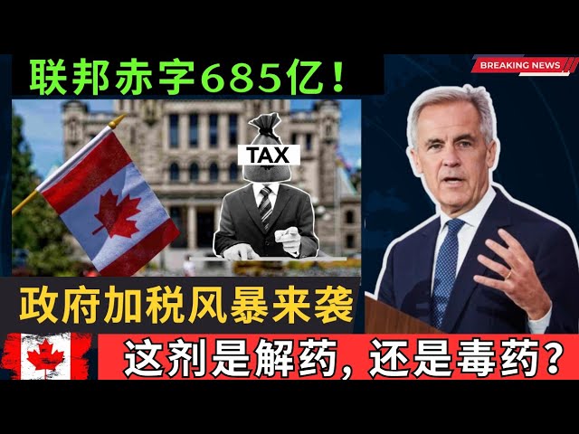 联邦赤字爆表，联邦加税风暴来袭，GST可能即将上调，那普通人该如何面对？这对经济究竟是一剂解药，还是毒药？-duli 读立