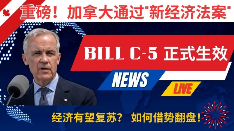 重磅! 加拿大通过“新经济法案” Bill C-5 正式生效。这是经济复苏的迹象，还是昙花一现？暗藏3大机会，读懂的话普通人可以用此机会借势翻盘！-duli 读立