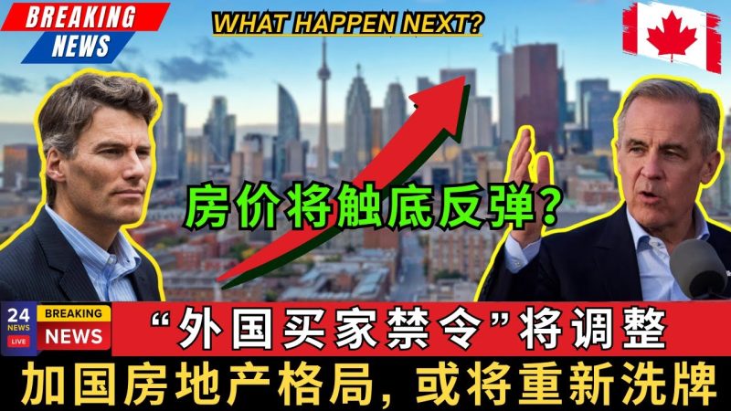 【深度分析】外国买家禁令将调整，加拿大房价触底反弹？房地产格局或将重新洗牌！看清政策利弊，以及各发展国家的对比，找到加拿大房地产未来的突破口！-duli 读立