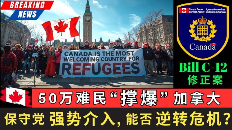 【最新】50万难民撑爆加拿大，保守党强势介入，Bill C-12修正案能否逆转危机？带你看清这一切现象的背后，那些鲜为人知的内幕。-duli 读立