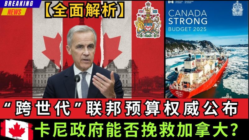 【重磅】“跨世代”联邦预算权威发布，卡尼政府能否挽救加拿大？这份报告里的核心和重点，你必须清楚了解才能判断加拿大的未来走向! -duli 读立