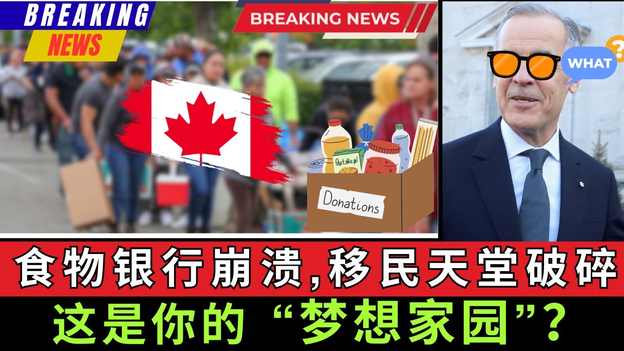 食物银行崩溃，移民天堂破碎，这仍是你的梦想家园 单月就有220万人上门要求救济，是六年前的两倍，其中有70万领取者是未成年儿童，而政府却忽略了正在塌陷的社会现实