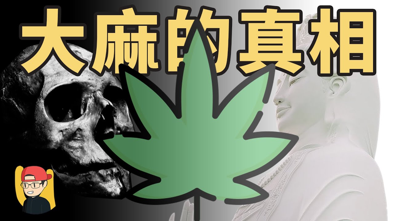 【大麻的真相】是毒品？還是神賜之物？大麻合法化又是如何？