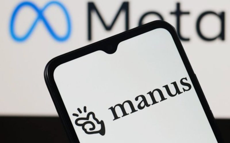 许成钢：叫停Manus收购，能让中国赢得AI产业革命吗？-duli 读立