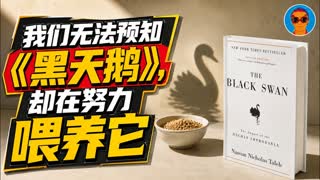 《黑天鹅》揭示我们如何亲手把灾难放大-duli 读立